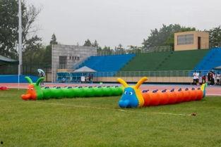 交大操场吃瓜,一场别开生面的“吃瓜”盛宴