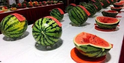 清脉吃瓜,揭秘网络热点的背后真相