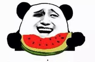 只会吃瓜的阿杉,揭秘吃瓜群众的趣味生活