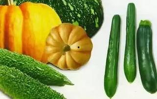 白脱瓜怎么吃,解锁美味新体验