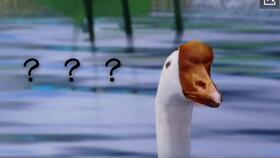 吃瓜江湖剧场,揭秘娱乐圈幕后风云