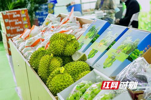 长沙吃瓜栏,吃瓜栏里的风味盛宴