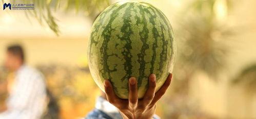 吃娱乐圈的瓜,揭秘明星幕后故事与情感纠葛